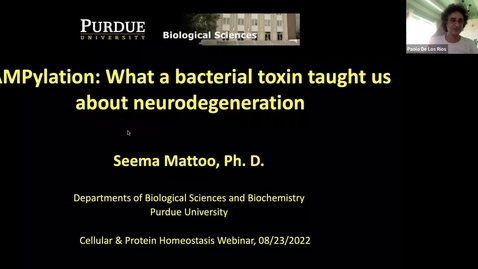 Thumbnail for Seema Mattoo: The story of AMPylation - What a bacterial toxin taught us about neurodegeneration
