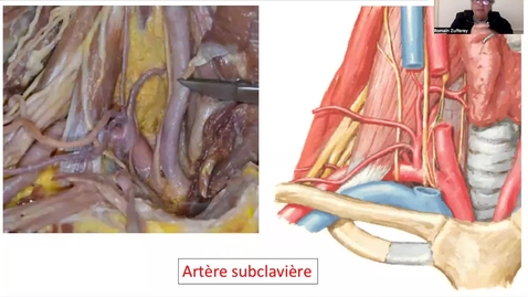 Thumbnail for 0.1.2022.7.1 sem 7, 2022 sem 7 v 1