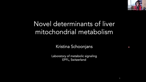 Thumbnail for Kristina Schoonjans - Novel determinants of liver mitochondrial metabolism