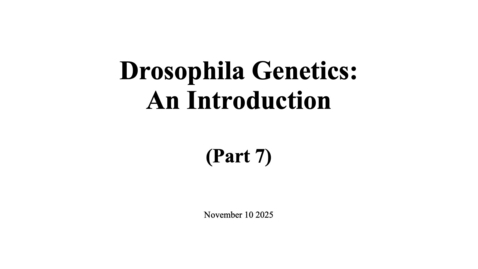 Thumbnail for Drosophila Genetics - 7 Keeping fly stocks