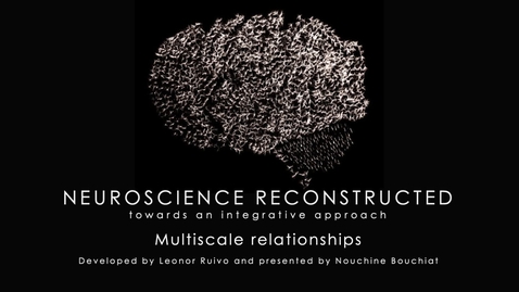 Thumbnail for Week 1-6 The multiscale relationship between components of the nervous system