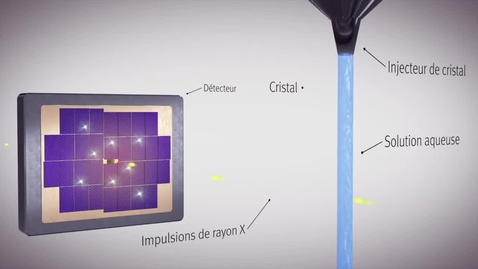 Thumbnail for Cristallographie en série - Déchiffrer les biomolécules au PSI