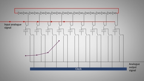 Thumbnail for The “Domino Ring Sampler”