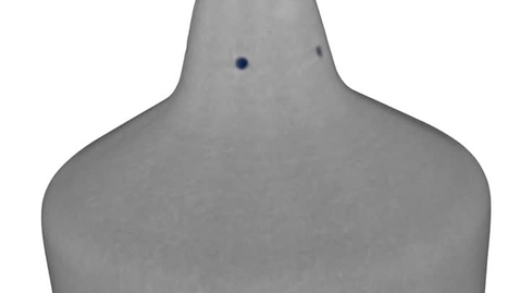 Thumbnail for High resolution neutron tomography of diesel injection nozzle.