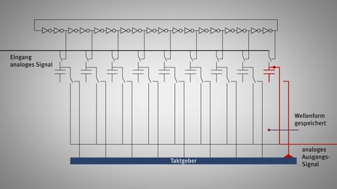 Thumbnail for Der «Domino Ring Sampler»